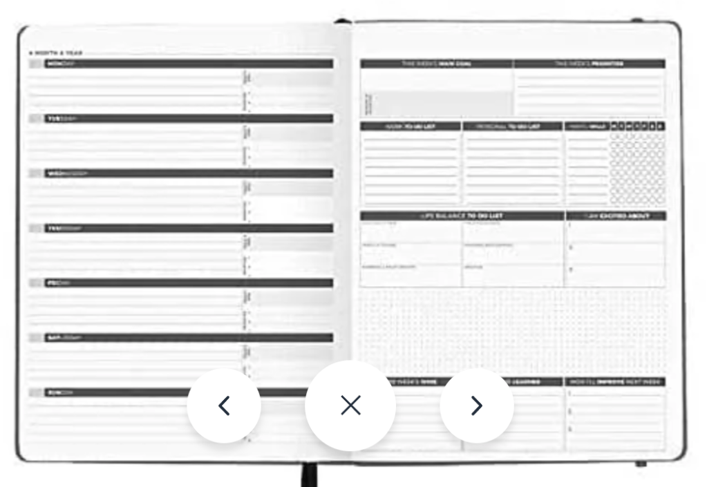 Passion Planner Weekly Layout
