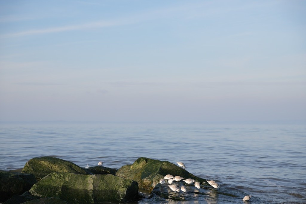 rediscovering photography photo of waterfront during walk